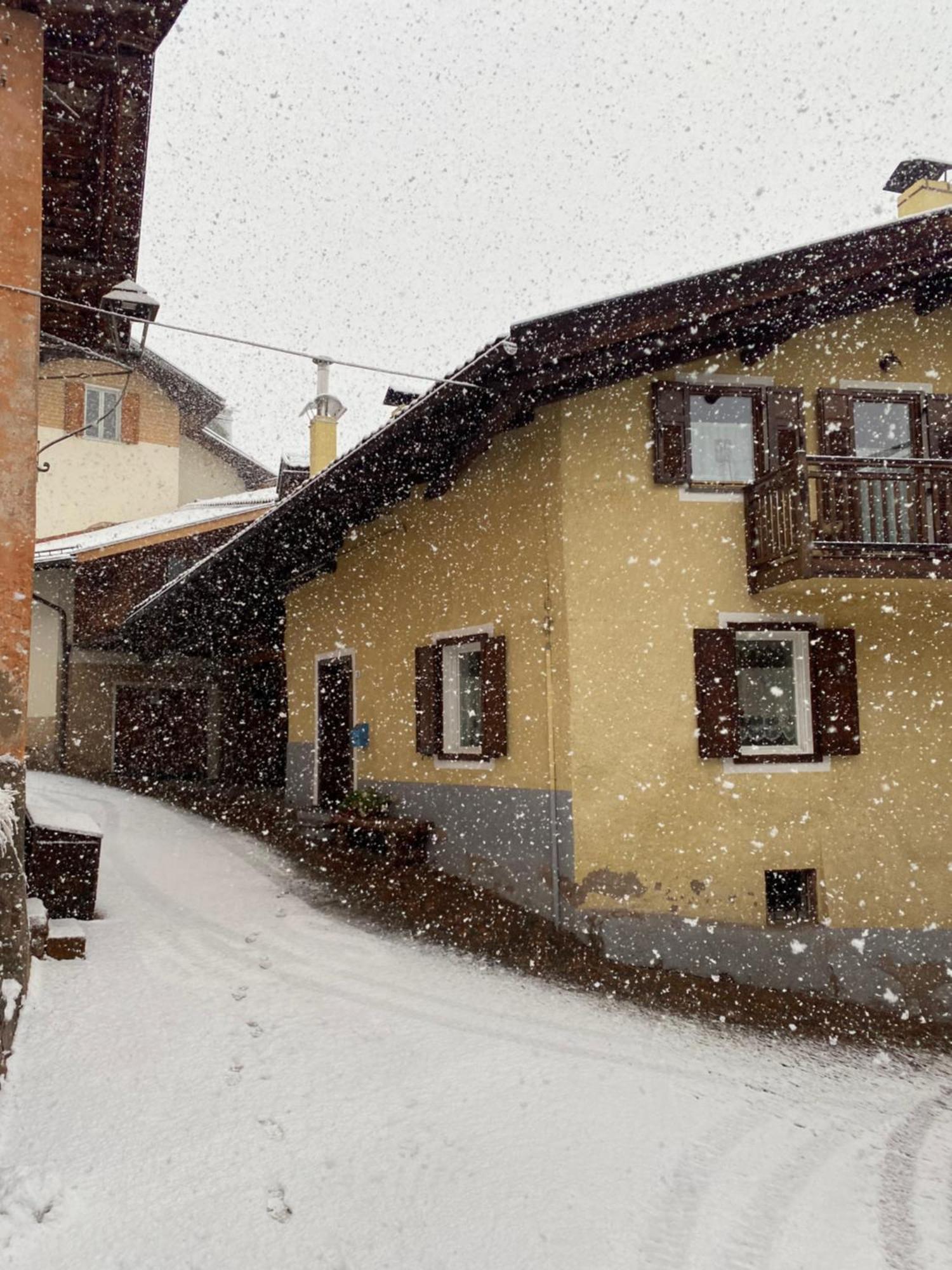 Apartament Casa Mia Fiemme Carano  Zewnętrze zdjęcie